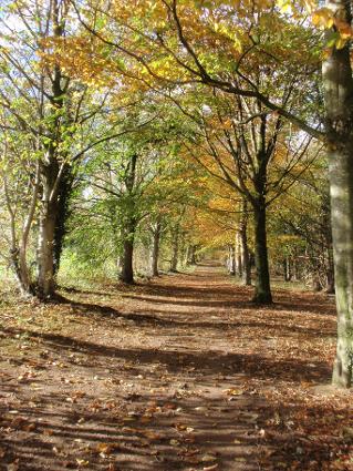 loxham walk